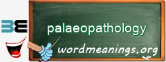 WordMeaning blackboard for palaeopathology